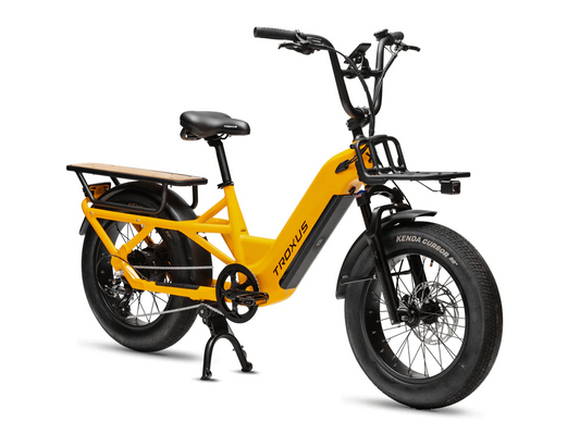 New Troxus Lynx Cargo E-Bike