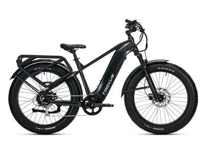 Explorer Plus Step Over E-Bike