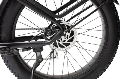 Explorer Plus Step Thru E-Bike