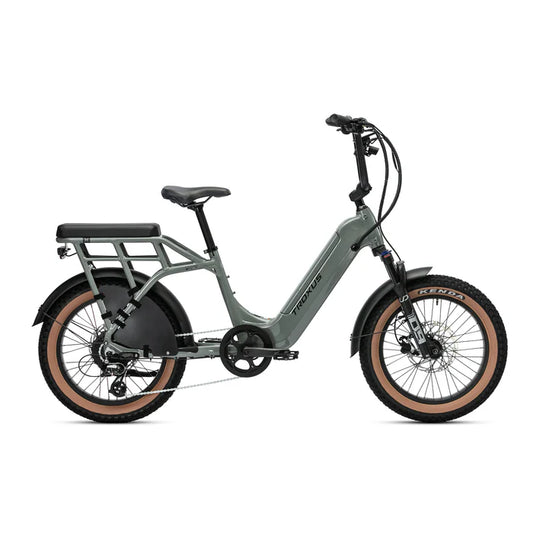 Lynx 2-Up E-Bike