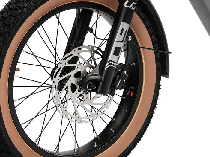 Lynx 2-Up E-Bike