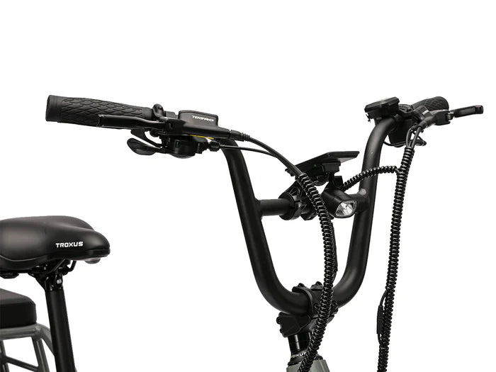Lynx 2-Up E-Bike