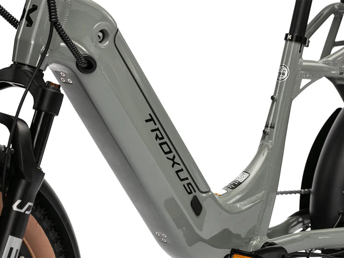 Lynx 2-Up E-Bike