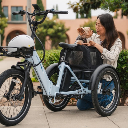 Lectric-XP Trike 2.0-500w